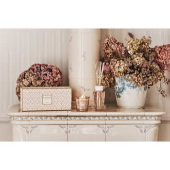 Baobab Collection My First Baobab Women set cadou - imagine 3